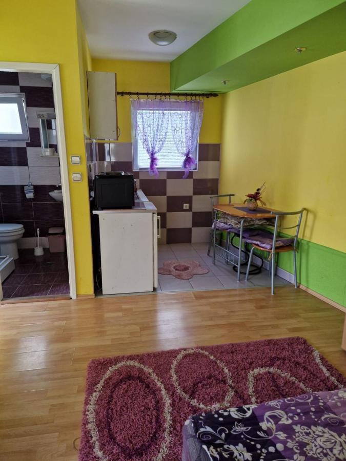 Apartments Hadzi Soko Banja Exteriér fotografie