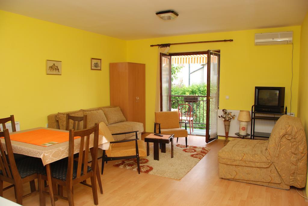Apartments Hadzi Soko Banja Pokoj fotografie