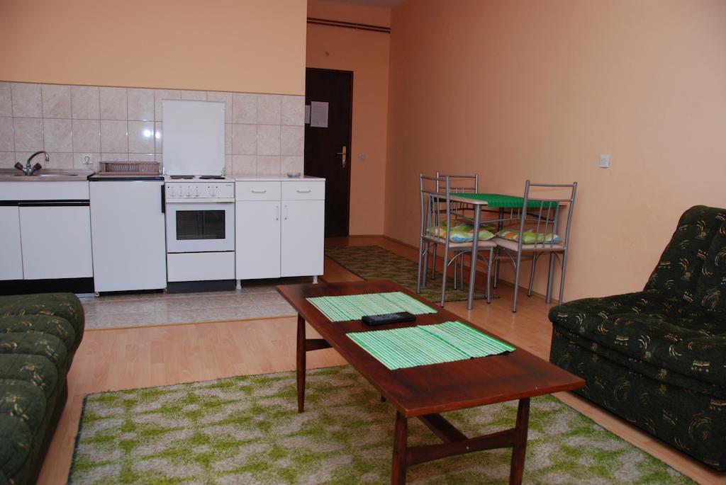 Apartments Hadzi Soko Banja Pokoj fotografie